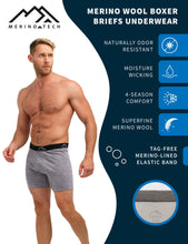 Load image into Gallery viewer, Men&#39;s Merino Boxers 170 Iron (1 pack)